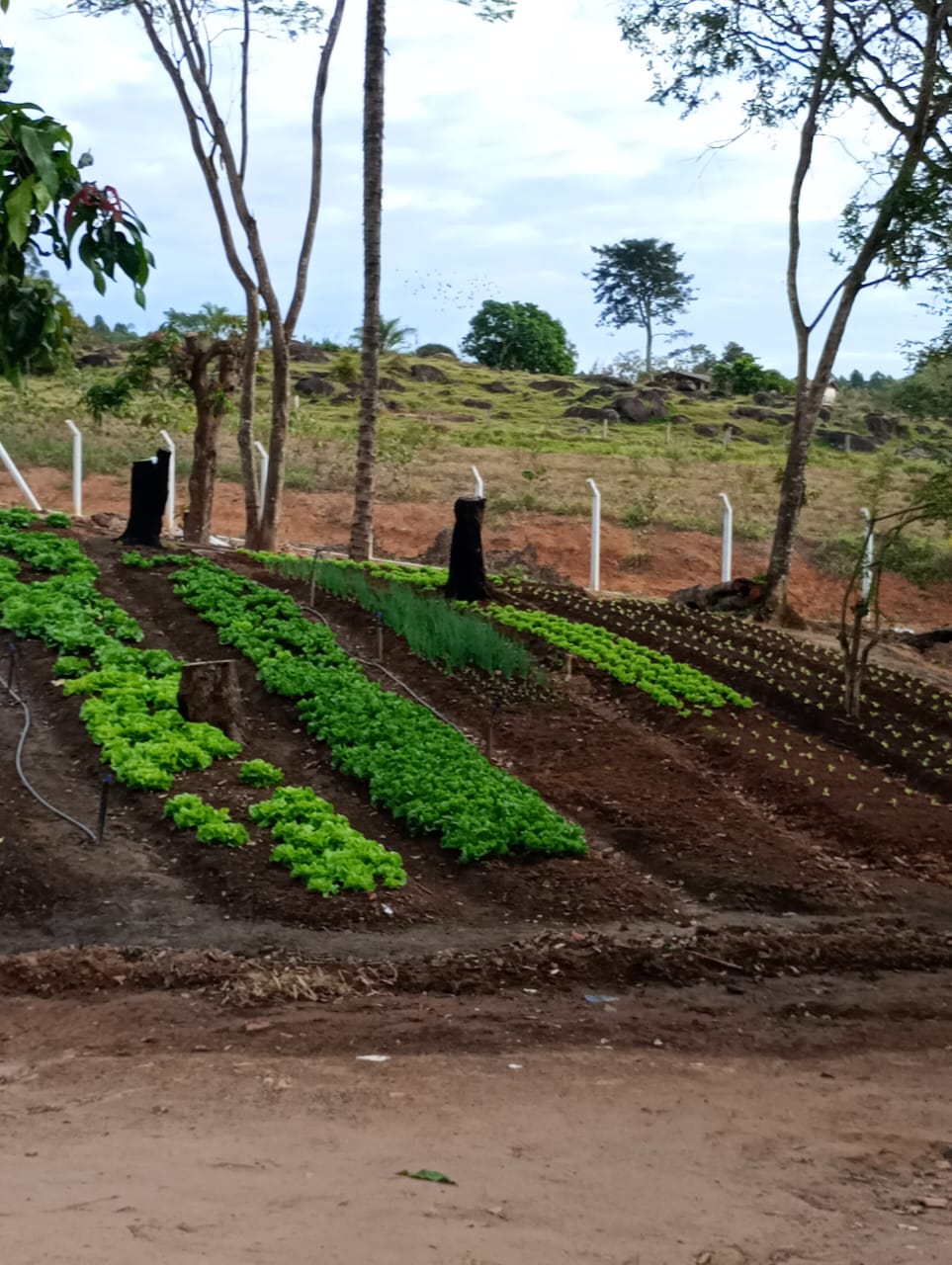 Equipe da clínica 10