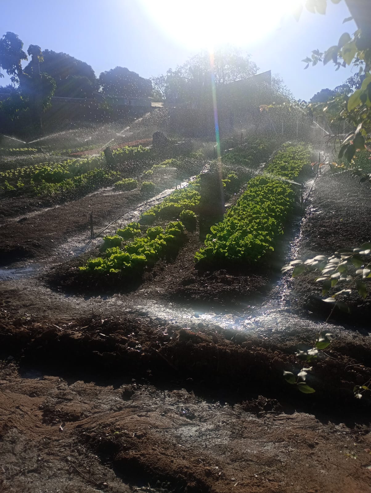 Equipe da clínica 11