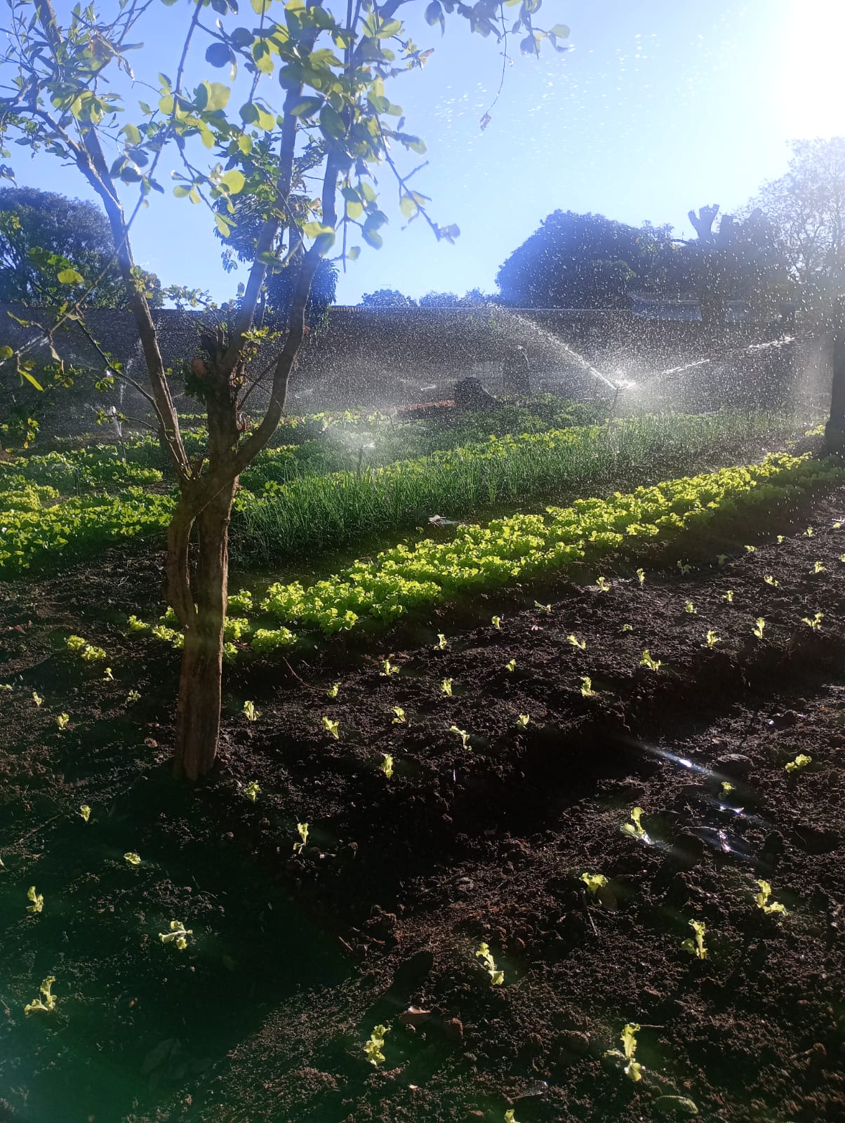 Equipe da clínica 12