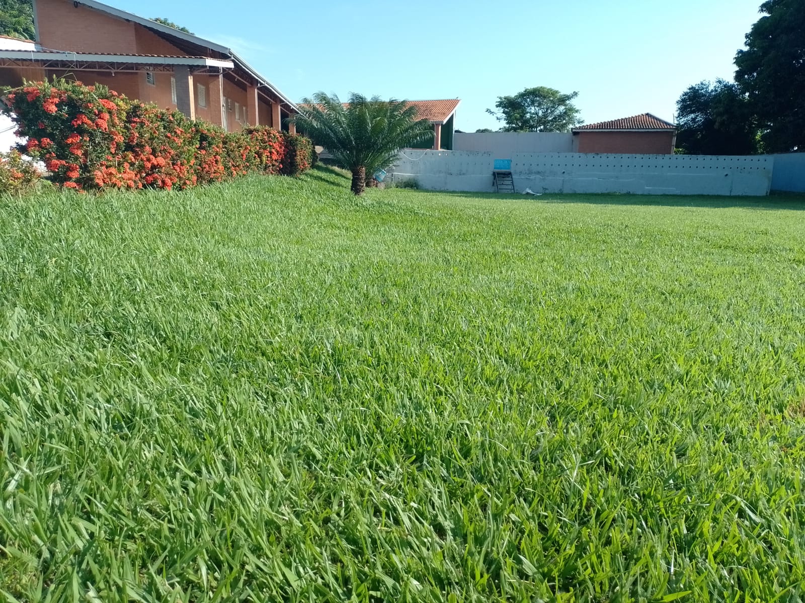 Equipe da clínica 15