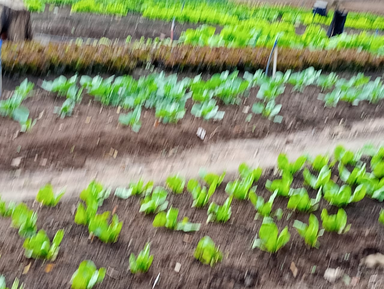 Equipe da clínica 7