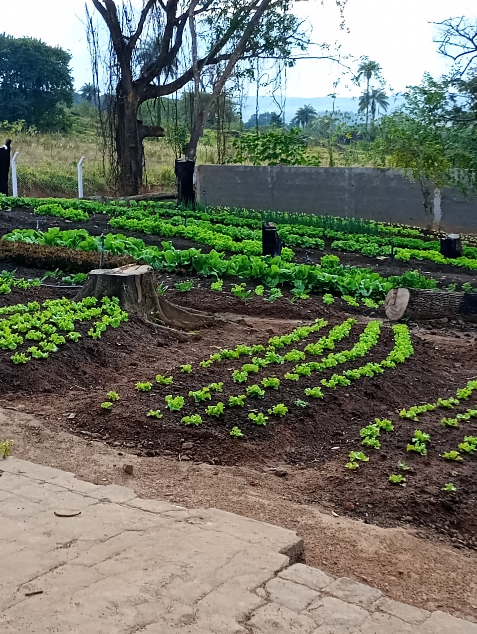 Equipe da clínica 8