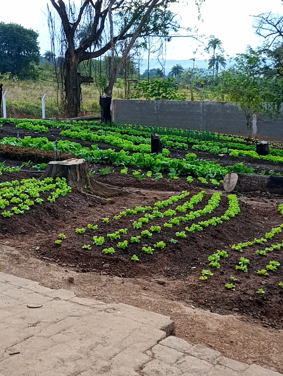 Equipe da clínica 9